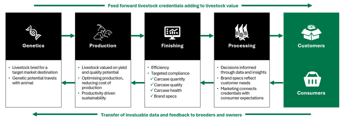 Feed forward livestock credentials adding to livestock value